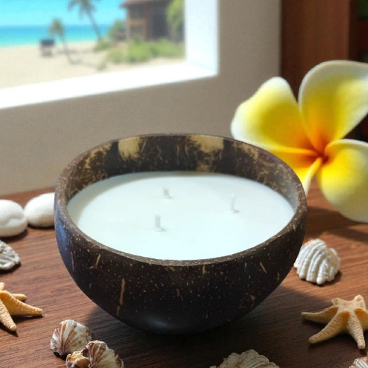 12oz Coconut Bowl with 3 wicks