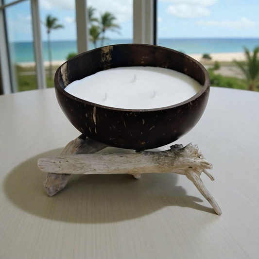 12oz Coconut Bowl with 3 wicks